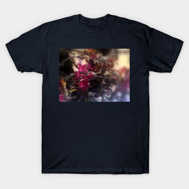 red Malus 'Radiant'  crab apple blossoms #2 T-Shirt by DlmtleArt